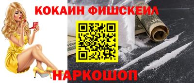 эйфоретик Кингисепп