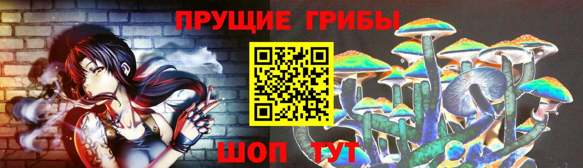 Галлюциногенные грибы GOLDEN TEACHER  Вход с VPN  Галлюциногенные грибы прущие грибы  что такое   Лениногорск 